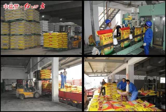 物流畅通,发货迅速 物流畅通,发货迅速