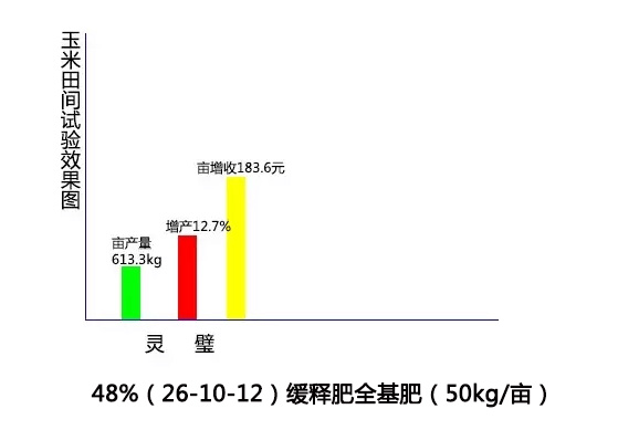 红四方缓释肥48%(26-10-12)在玉米田间实验效果图.jpg