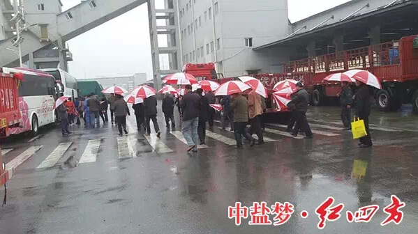 山东曹县农场主冒雨参观红四方复合肥新区.jpg