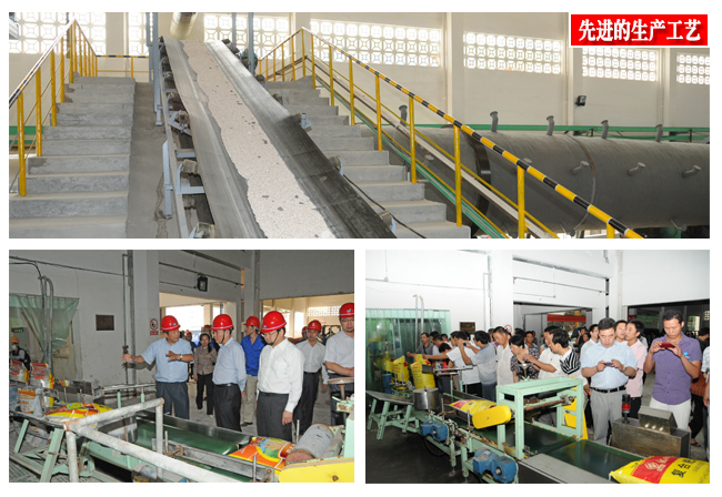 红四方复合肥生产工艺严要求、高标准.jpg 红四方复合肥生产工艺严要求、高标准.jpg