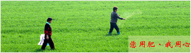 红四方复合肥您用肥我用心