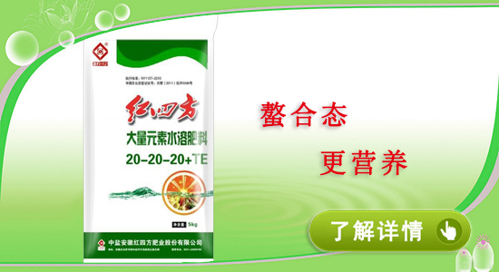 红四方大量元素水溶肥20-20-20+TE 红四方大量元素水溶肥20-20-20+TE