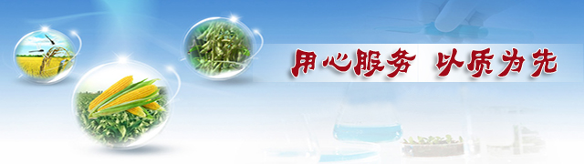 红四方复合肥用心服务·以质为先 红四方复合肥用心服务·以质为先