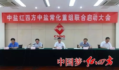 中盐红四方中盐常化重组联合启动大会在中盐常化举行 中盐红四方中盐常化重组联合启动大会在中盐常化举行