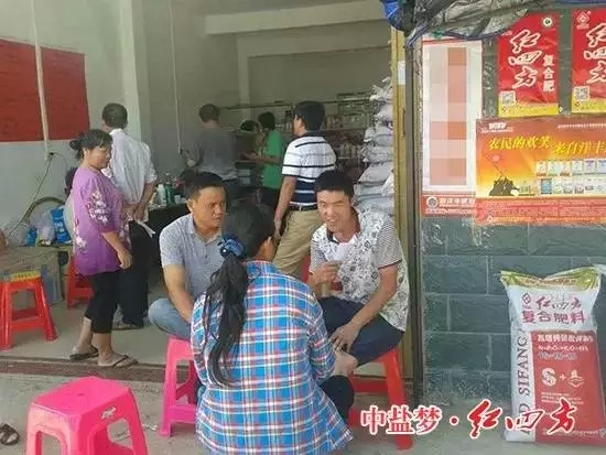 海南陵水红四方农化专家正在讲解水肥管理 海南陵水红四方农化专家正在讲解水肥管理