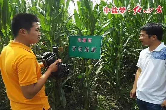 走访团工作人员正在现场查看玉米长势 走访团工作人员正在现场查看玉米长势