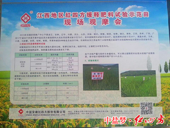 红四方缓释肥料试验田 红四方缓释肥料试验田
