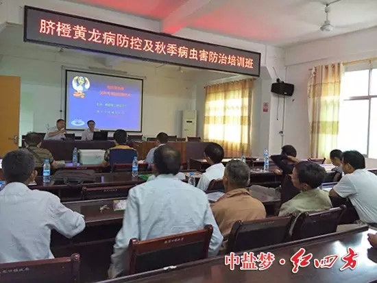 江西信丰&mdash;&mdash;送&ldquo;科技&rdquo;进村，农户足不出户学技术