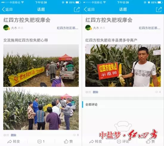 网友大木晒红四方玉米控失肥的丰收之景 网友大木晒红四方玉米控失肥的丰收之景