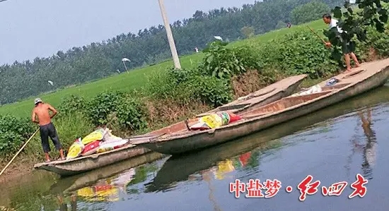 摆渡的人甩开膀子干活,将一袋袋红四方莲藕专用肥运往藕塘……. 摆渡的人甩开膀子干活,将一袋袋红四方莲藕专用肥运往藕塘…….