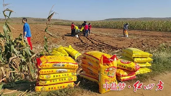 俺们这种地就要用红四方升级版纯硫酸钾45%(15-15-15),源动力,双硫基,更利于吸收 俺们这种地就要用红四方升级版纯硫酸钾45%(15-15-15),源动力,双硫基,更利于吸收