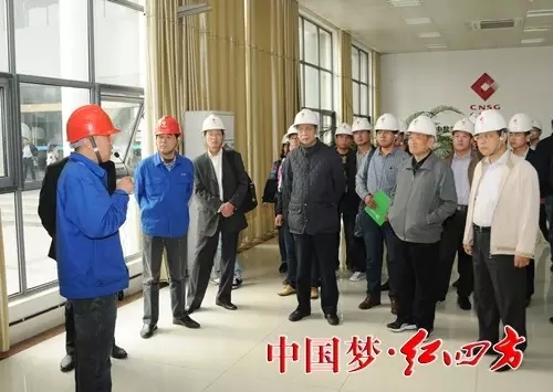 与会代表参观合成氨DCS主控室 与会代表参观合成氨DCS主控室