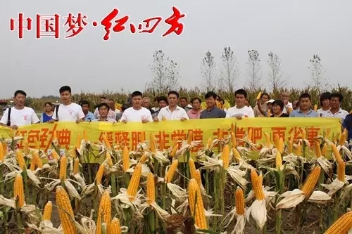 中盐红四方一直将产品创新作为企业发展的第一要务,大力开展农化服务和新型肥料。 中盐红四方一直将产品创新作为企业发展的第一要务,大力开展农化服务和新型肥料。