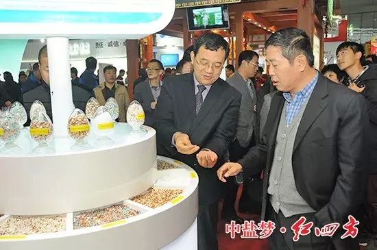 中盐红四方董事长朱枫、总经理方立贵亲临现场 中盐红四方董事长朱枫、总经理方立贵亲临现场