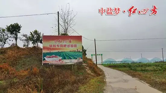 下雪天,我们红四方业务员在冬雪天气中奔走 下雪天,我们红四方业务员在冬雪天气中奔走