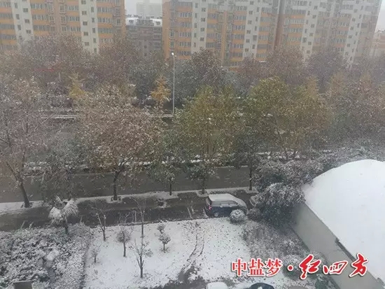 小雪过后,全国大面积开启了雨雪模式,淮北也羞答答地加入其中,静悄悄地下了一场大雪。虽说“旺季卖肥料,淡季做储备”,若整天顶着风雪跑网点、拜访客户或上门要账,也需要很大的“勇气 小雪过后,全国大面积开启了雨雪模式,淮北也羞答答地加入其中,静悄悄地下了一场大雪。虽说“旺季卖肥料,淡季做储备”,若整天顶着风雪跑网点、拜访客户或上门要账,也需要很大的“勇气