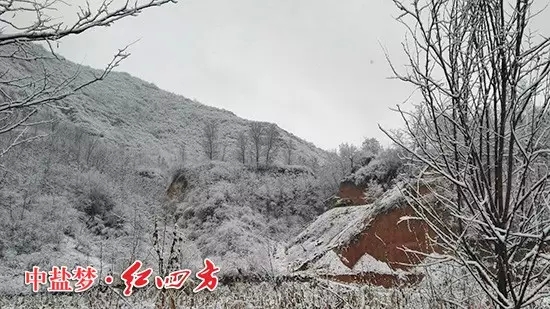 河南林州大雪纷飞了好几天,一片银装素裹,美丽极了,也让红四方农化销售员走村入户的道路变得崎岖坎坷 河南林州大雪纷飞了好几天,一片银装素裹,美丽极了,也让红四方农化销售员走村入户的道路变得崎岖坎坷