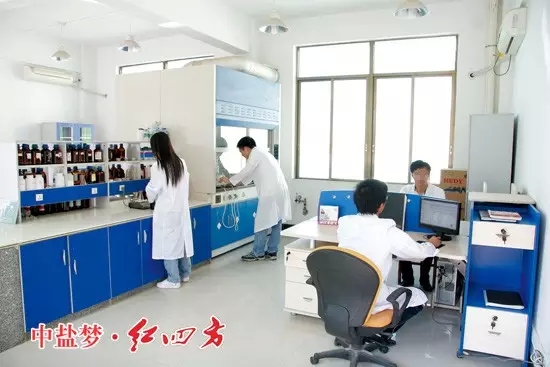 中盐红四方技术中心 中盐红四方技术中心