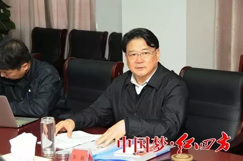 中盐红四方董事长朱枫出席 中盐红四方董事长朱枫出席