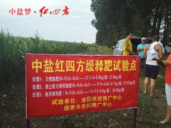 红四方缓释肥试验点 红四方缓释肥试验点