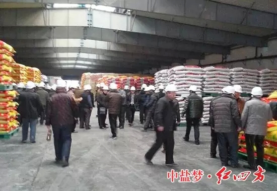 ▲两旁排列整齐的、品种齐全的复合肥产品,上前看个仔细! ▲两旁排列整齐的、品种齐全的复合肥产品,上前看个仔细!