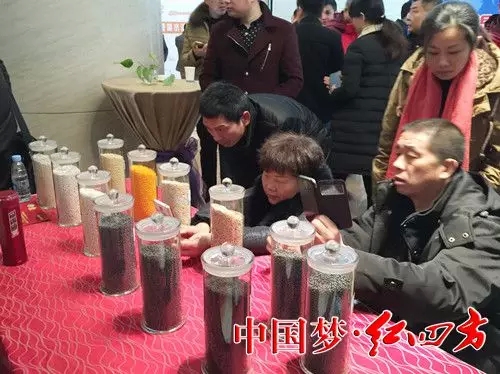 经销商拍摄各种复合肥产品实物图 经销商拍摄各种复合肥产品实物图