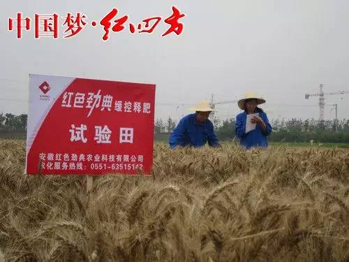 红四方农化服务现场 红四方农化服务现场