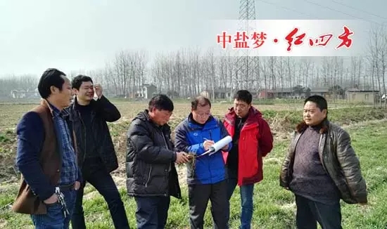 金湖红四方复合肥经销商打造家喻户晓品牌，送服务到田间