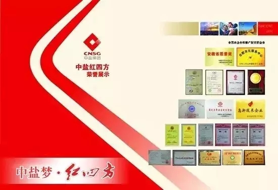 中盐红四方技术创新优势突显 中盐红四方技术创新优势突显