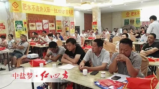 中盐红四方镇平核心客户复合肥直销招商峰会 中盐红四方镇平核心客户复合肥直销招商峰会