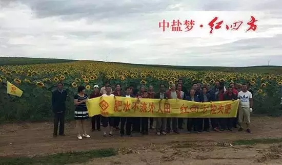 从一片空白到花开世界&hellip;&hellip;.