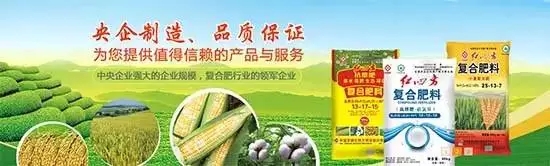 红四方从1958年建厂就开始专注于肥料的生产、销售，近60年的发展奋斗史，拥有&ldquo;国内一流、国际先进&rdquo;的化工生产基地，60年央企好品质是最有力的见证！