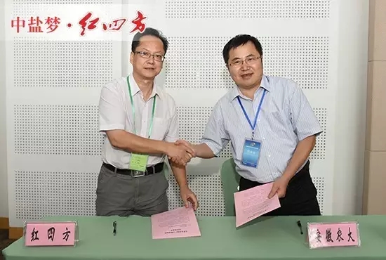 中盐红四方与安徽农业大学举行合作签约仪式 中盐红四方与安徽农业大学举行合作签约仪式