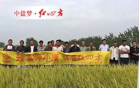 从监利赶往潜江横堤村 从监利赶往潜江横堤村