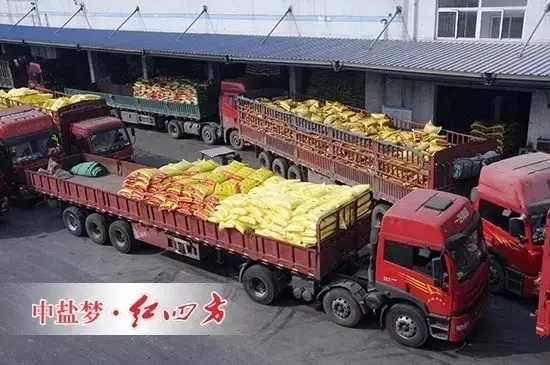 2月29日，全国各地复合肥销售活动进行的如火如荼，中盐红四方抢占市场制高点，各地销售中心捷报频传，销量不断攀升，复合肥发货量同期增长20%，创历史新高，迎来2016年农化销售&ldquo;开门红&rdquo;。