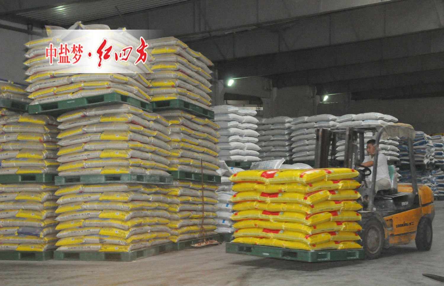 复合肥仓库 复合肥仓库