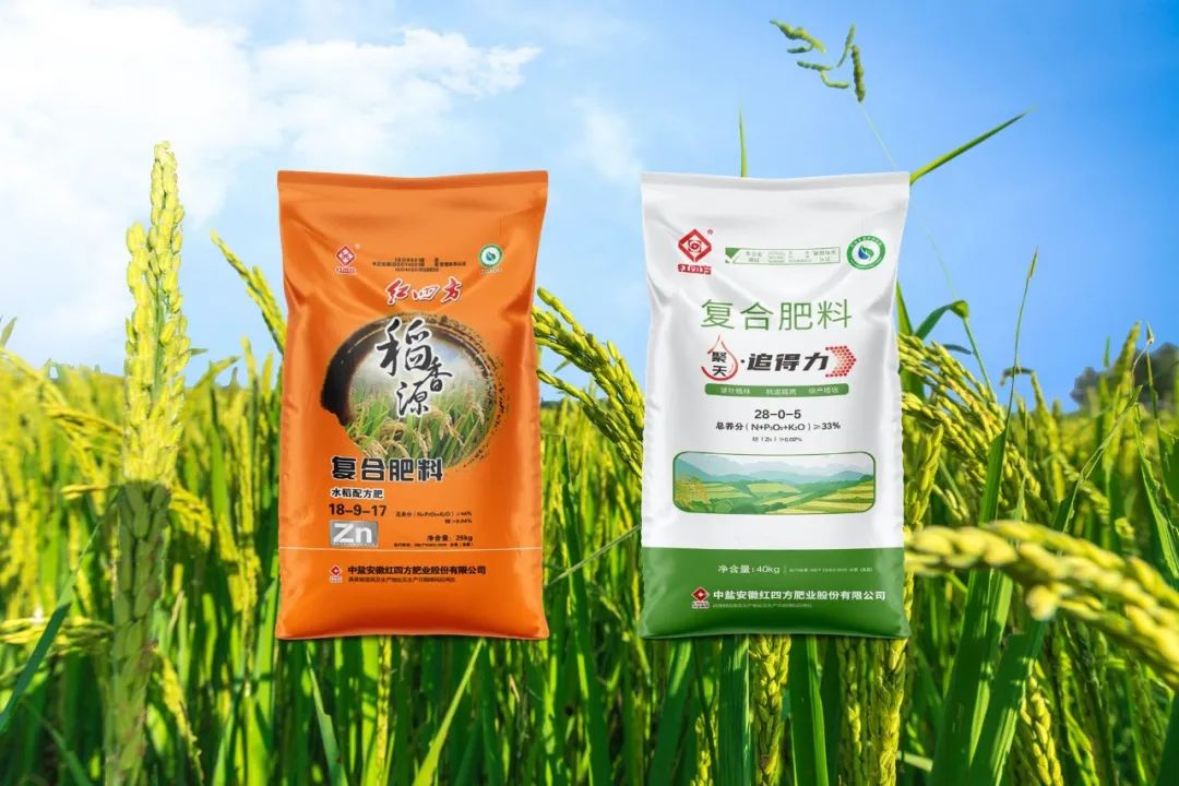 微信图片_20240812141046.jpg 微信图片_20240812141046.jpg